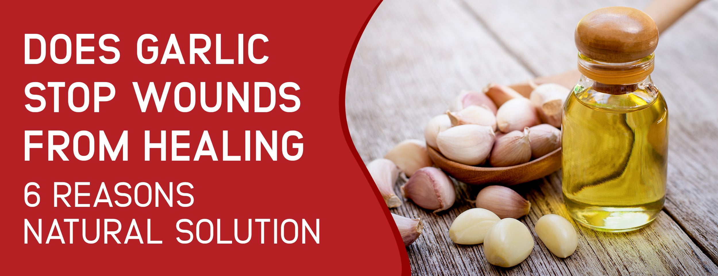 Medical Use & Mechanism of Garlic's Anti-Healing Properties